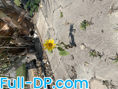 princess kay 888 @Allforkay888 LoyalFans Full Size header Picture (HD)