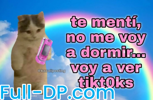 AlwaysAlondra @alwaysalondra LoyalFans Full Size header Picture (HD)