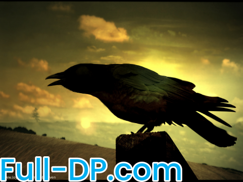 BabyRaven @babyraven LoyalFans Full Size header Picture (HD)