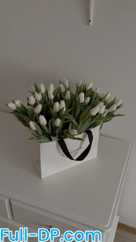 Ceceliaaa @cecilia_xoxo LoyalFans Full Size header Picture (HD)