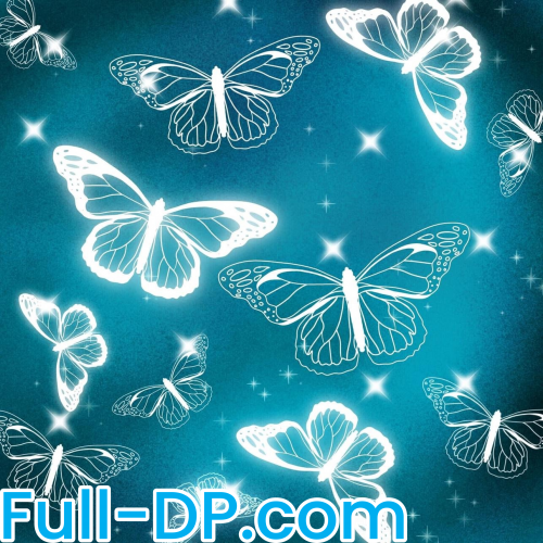 Chazieljantz @chazieljantz FanCentro Full Size header Picture (HD)