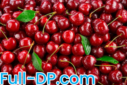 CherryDaze420 @cherrydaze420 LoyalFans Full Size header Picture (HD)