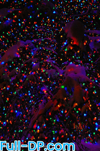 CoriBeldinni @coribeldinni LoyalFans Full Size header Picture (HD)