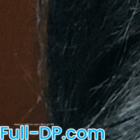 Profile picture of ddysgirl89