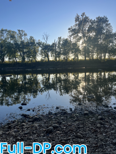 Profile picture of gingerly