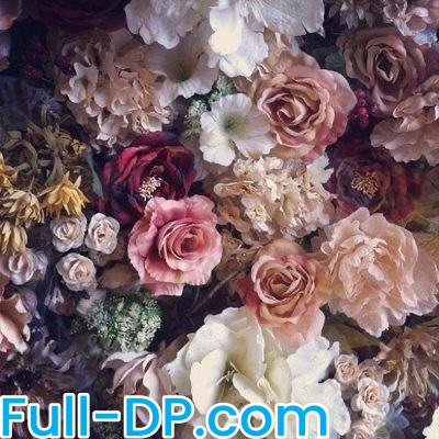 Miss Nic @goddessnic OnlyFans Full Size header Picture (HD)