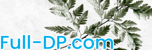 Gracie @gracieebobo OnlyFans Full Size header Picture (HD)