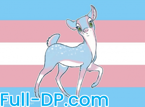 Profile picture of harleyqtgirl