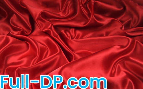 HollyJones @hollyjones LoyalFans Full Size header Picture (HD)