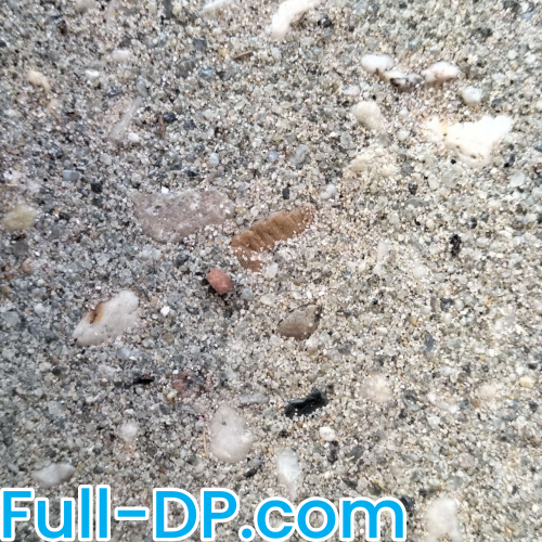 Profile picture of justkelly69