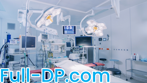 Leela Lapin @leelalapin LoyalFans Full Size header Picture (HD)