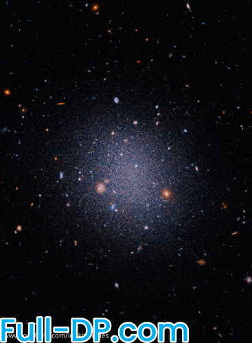 lookitshades @lookitshades LoyalFans Full Size header Picture (HD)