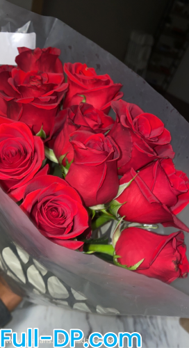 Madame Creole @madamecreole LoyalFans Full Size header Picture (HD)