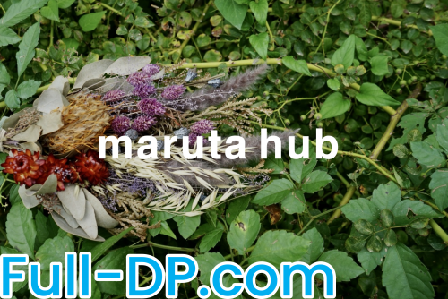 marutahub @marutahub FanCentro Full Size header Picture (HD)