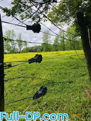 Mature Ms Adah @MatureMsAdah LoyalFans Full Size header Picture (HD)