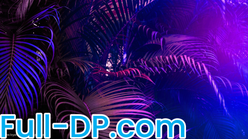 Miyphoriaa @miyphoria_ LoyalFans Full Size header Picture (HD)