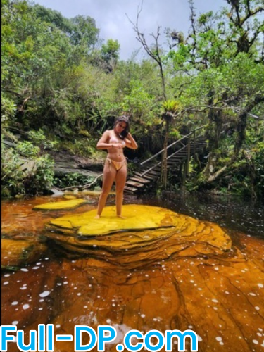 Profile picture of nicolyrio