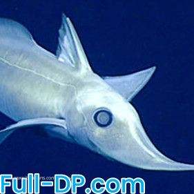 Profile picture of NotMakingStuff123124141646