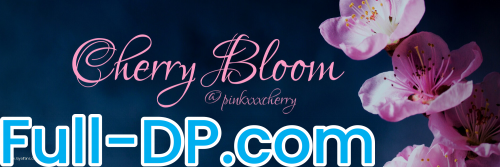 Cherry Bloom @pinkxxxcherry LoyalFans Full Size header Picture (HD)