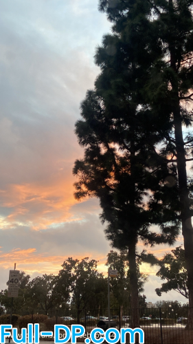 Baby Coco @prettybabycoco LoyalFans Full Size header Picture (HD)