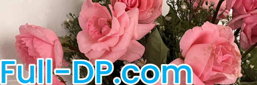 Princess AC @princessacxo LoyalFans Full Size header Picture (HD)