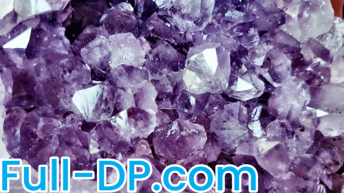 Purple Princess @purpleprincess LoyalFans Full Size header Picture (HD)