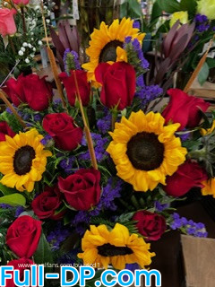 Puzzled1 @puzzled1 LoyalFans Full Size header Picture (HD)