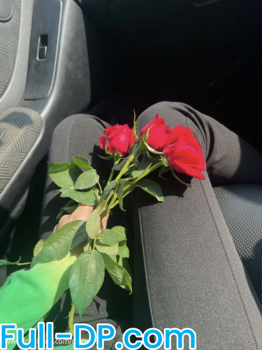 Profile picture of queenh