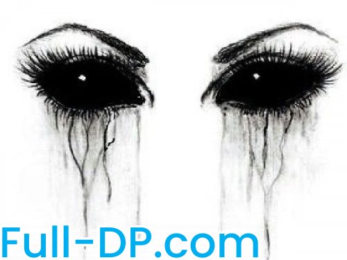 LadyOfLit @redqueenmajesty12 LoyalFans Full Size header Picture (HD)