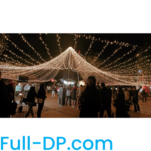 SakuraSwann @sakuraswann LoyalFans Full Size header Picture (HD)