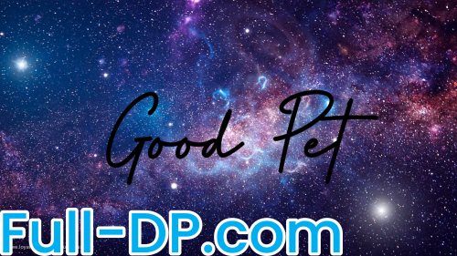 SeductressSky @seductresssky LoyalFans Full Size header Picture (HD)