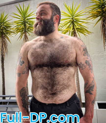 Profile picture of teddywilder