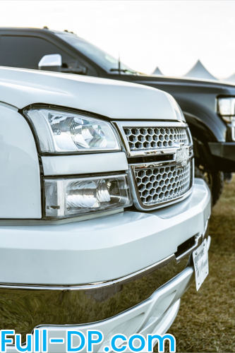 Profile picture of the3peddledmaxqueen