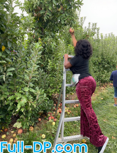 Profile picture of themadamefindom