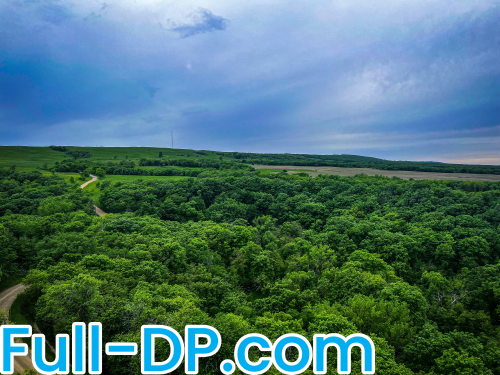 Toplesshiking @toplesshiking22 OnlyFans Full Size header Picture (HD)