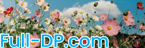 ValeryJonas @valeryjonas LoyalFans Full Size header Picture (HD)