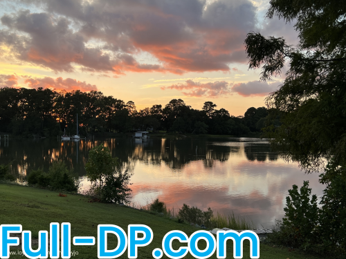 Whitneyjo @whitneyjo LoyalFans Full Size header Picture (HD)