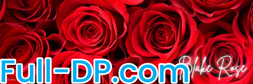 xoxo Blake Rose @xoxoblakerose LoyalFans Full Size header Picture (HD)