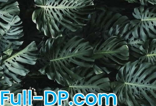 YummyFootQueen @yummyfootqueen LoyalFans Full Size header Picture (HD)